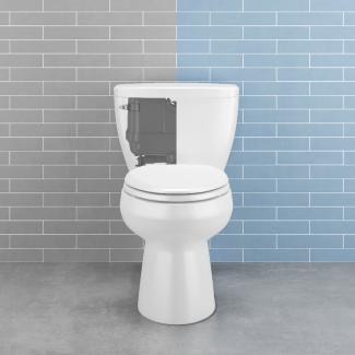Pressure-assisted toilet