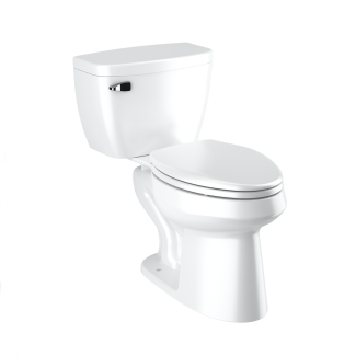 Sloan WETS-8029-8010