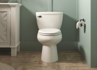Residential restroom with a pressure-assisted toilet