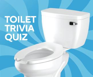 Toilet on a blue background with a title of "Toilet Trivia Quiz"