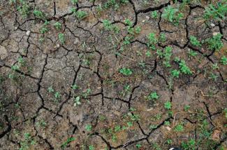 Drought-ready Restrooms: Designing for Water Conservation 